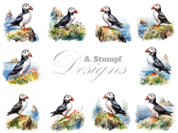 Atlantic Puffin Watercolor Bird Clipart: Illustrations Review