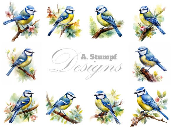 Blue Tit Bird Watercolor Clipart Set