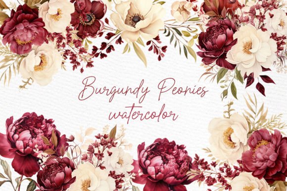 Burgundy Flowers Clipart Watercolor Png for Illustrations