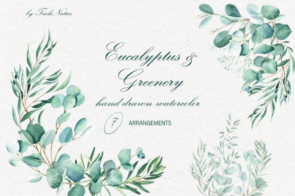 Eucalyptus Greenery: A Versatile Illustration for Branding