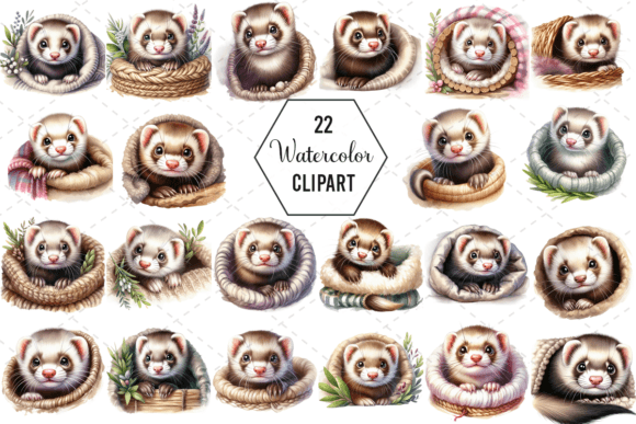 Ferret Peek Watercolor Clipart Bundle: A Charming Illustrations Set