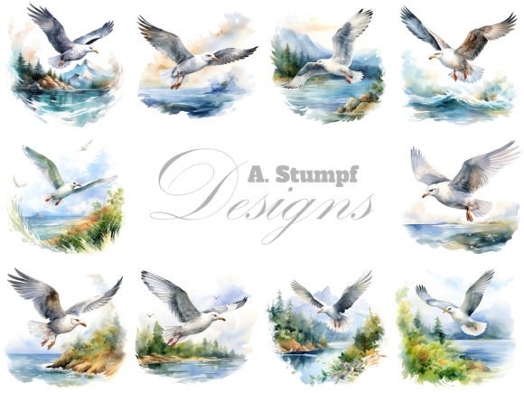 Flying Seagull Watercolor Bird Clipart