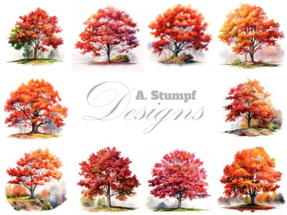 Maple Tree Watercolor Nature Clipart Set Illustrations