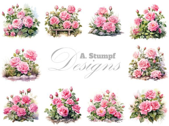 Pink Roses Clipart Set for Embroidery