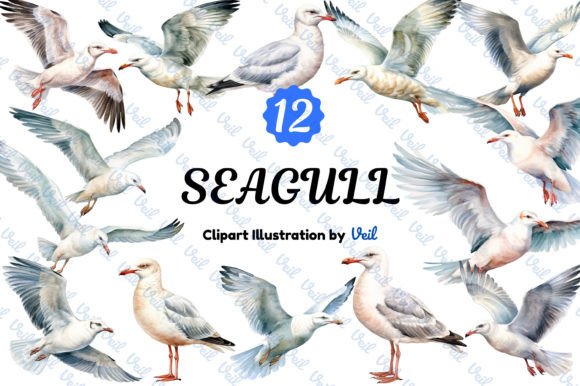 Seagull Clipart Watercolor Bundle: A Versatile Illustrations Asset