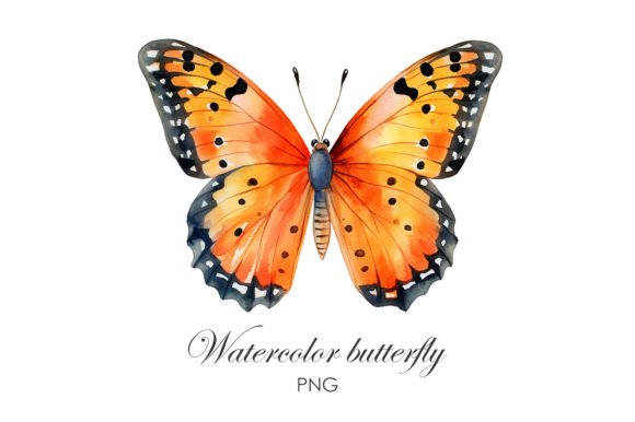 Sublimation Watercolor Butterfly PNG: A Must for Illustrations