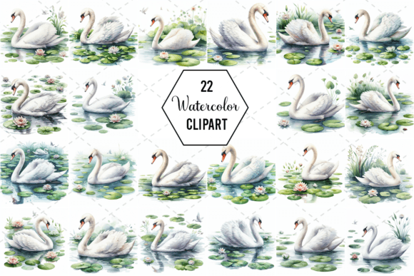 Swan Serenity Watercolor Bundle: A Versatile Illustrations Asset