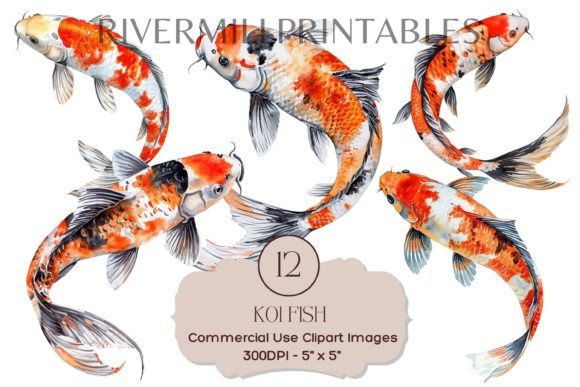 Swimming Koi Fish Watercolor Clipart for Illustrations