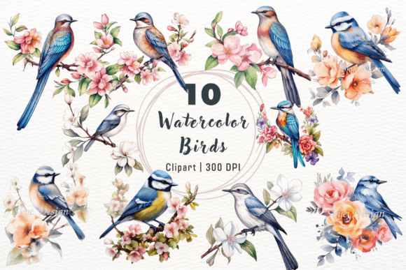 Watercolor Birds Clipart for Spring Illustrations