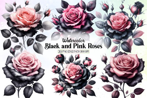 Watercolor Black and Pink Roses for Embroidery