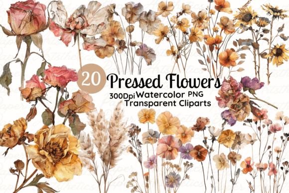 Watercolor Dried Pressed Flower Clipart