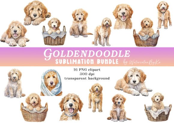 Watercolor Goldendoodle Dog Bundle: A Must for Illustrations