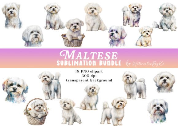 Watercolor Maltese Dog Bundle: Perfect for Local Branding