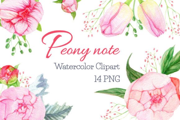 Watercolor Peonies Clipart: A Versatile Illustration Asset