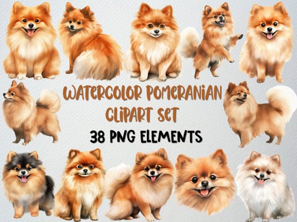 Watercolor Pomeranian Clipart for Embroidery