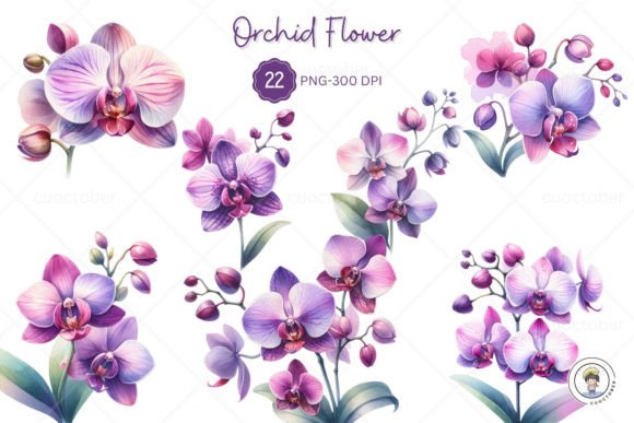 Watercolor Purple Orchid Flower Clipart for Illustrations