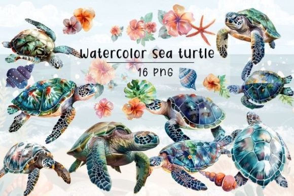 Watercolor Sea Turtle Clipart: Editorial Illustrations Review