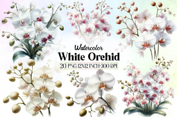 Watercolor White Orchid Clipart for Illustrations
