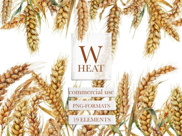 Wheat Watercolor Clipart for Creative Illustrations
